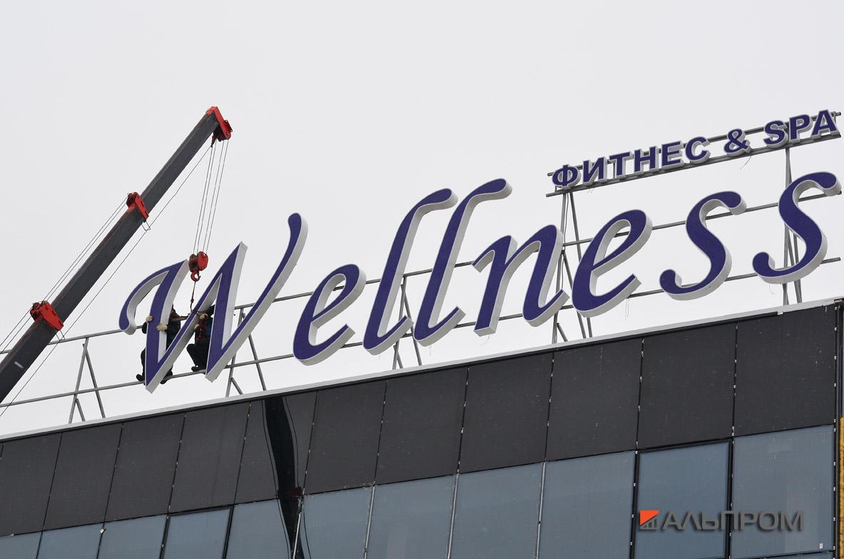 Вывеска фитнес центра Ботек Wellness в Тольятти
